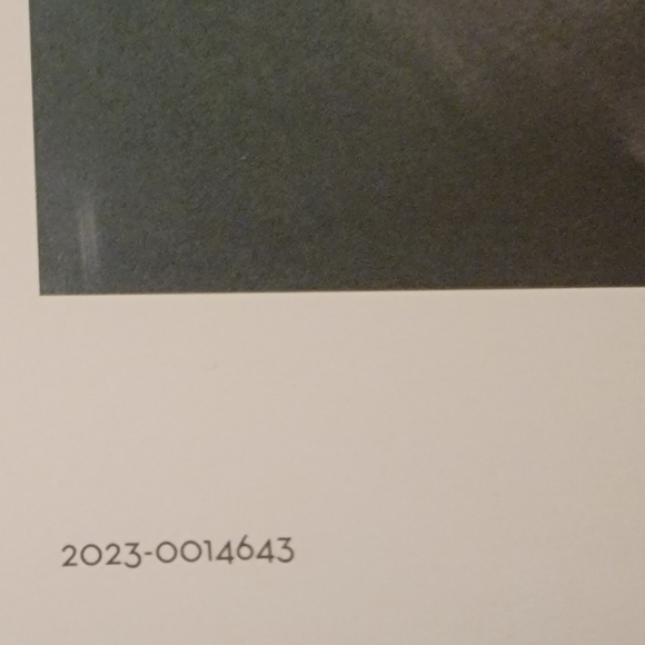 DISNEY ANIMATION Immersive Experience Print Poster 2023 - Picture 3 of 3